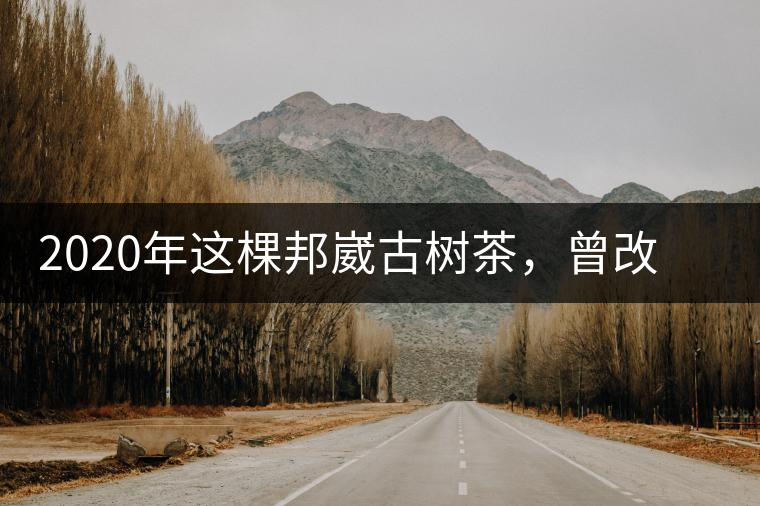 2020年這棵邦崴古樹(shù)茶，曾改寫(xiě)普洱茶歷史！-易武中聘號(hào)