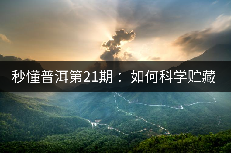 秒懂普洱第21期 ：如何科學(xué)貯藏普洱茶？