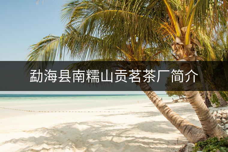 勐海縣南糯山貢茗茶廠簡(jiǎn)介