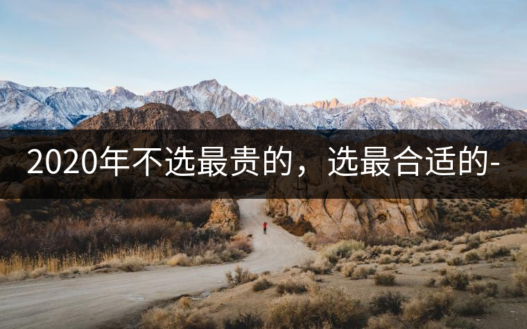 2020年不選最貴的，選最合適的-無量山古樹茶 |-易武中聘號(hào)