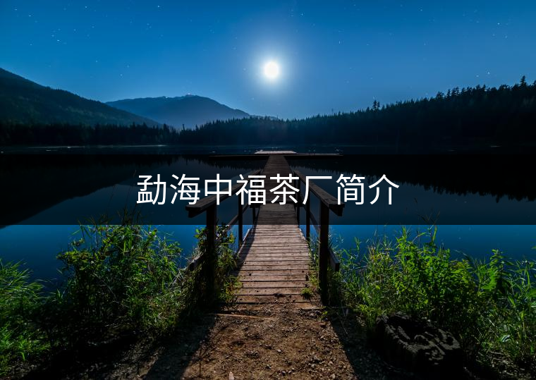 勐海中福茶廠簡(jiǎn)介 勐海中福茶廠簡(jiǎn)介