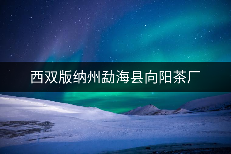 西雙版納州勐?？h向陽(yáng)茶廠