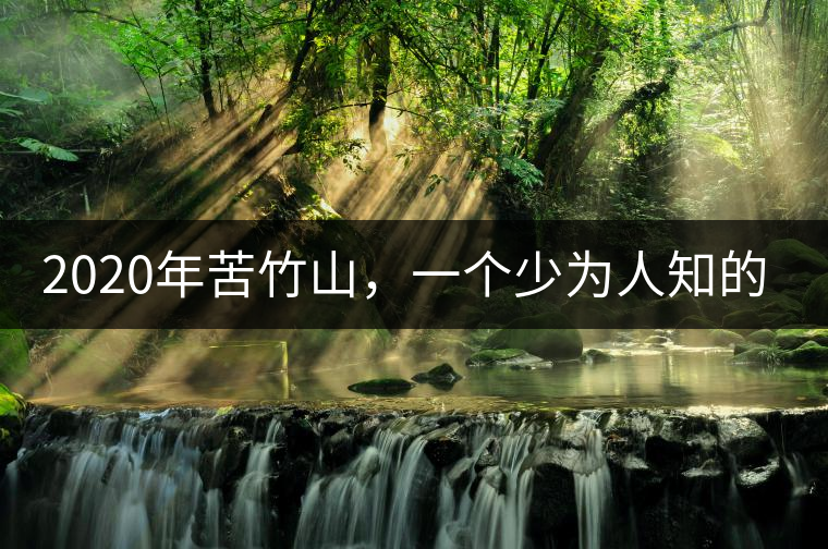 2020年苦竹山，一個少為人知的后起之秀！-易武中聘號