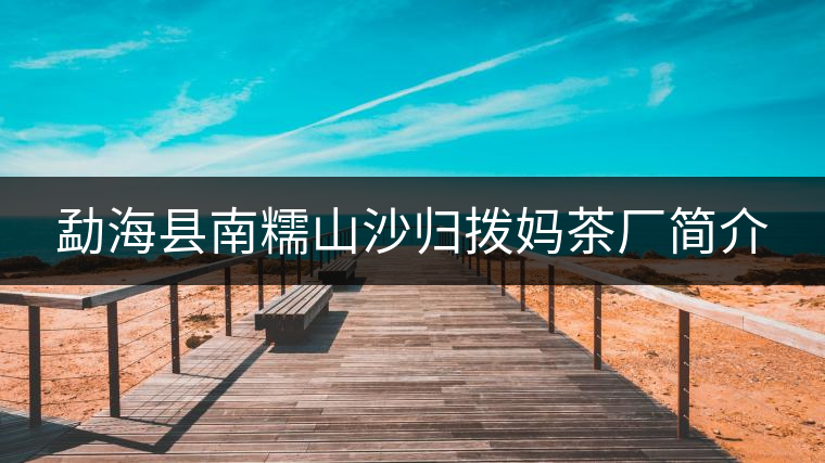 勐?？h南糯山沙歸撥媽茶廠簡(jiǎn)介