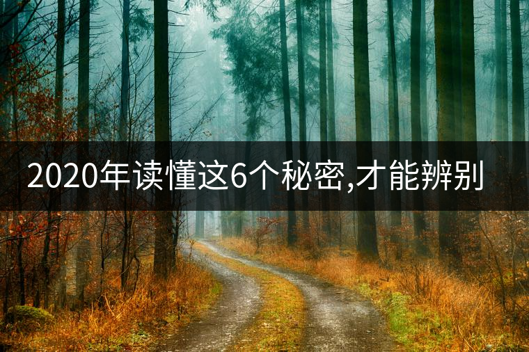 2020年讀懂這6個(gè)秘密,才能辨別真假老班章!-易武中聘號(hào) 2020年讀懂這6個(gè)秘密,才能辨別真假老班章!-易武中聘號(hào)