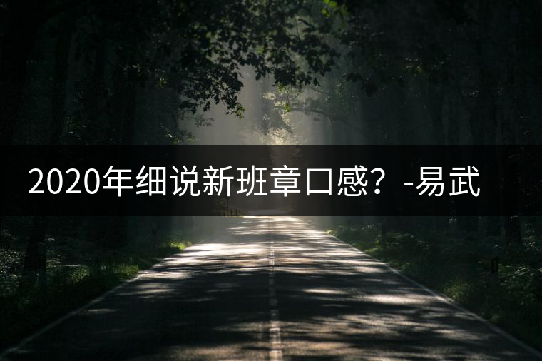 2020年細(xì)說新班章口感?-易武中聘號(hào) 2020年細(xì)說新班章口感?-易武中聘號(hào)