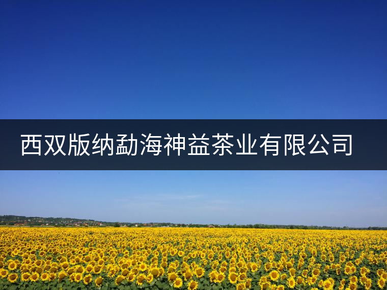 西雙版納勐海神益茶業(yè)有限公司簡介 西雙版納勐海神益茶業(yè)有限公司簡介