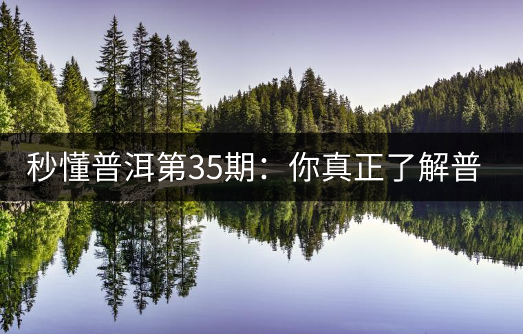 秒懂普洱第35期：你真正了解普洱茶的生津嗎？