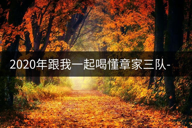 2020年跟我一起喝懂章家三隊(duì)-易武中聘號(hào)