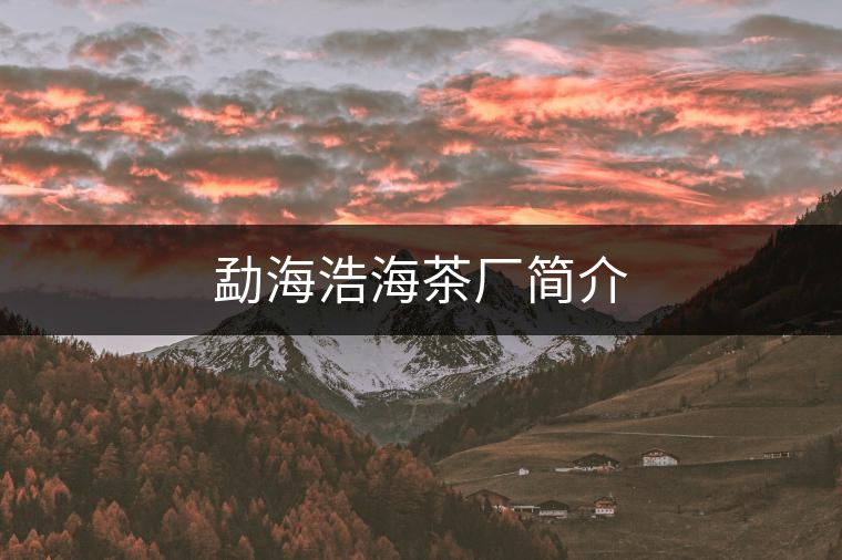 勐海浩海茶廠簡介 勐海浩海茶廠簡介