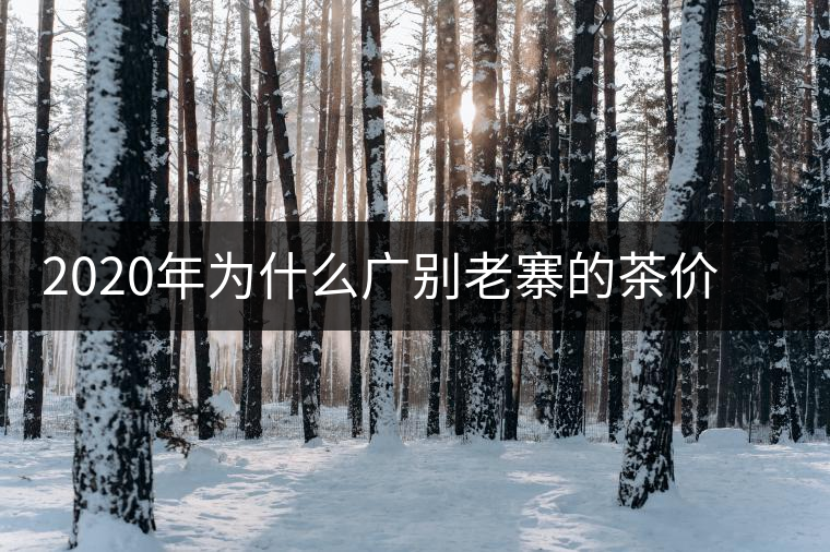 2020年為什么廣別老寨的茶價(jià)格這么貴名氣卻不是很大？-易武中聘號(hào)