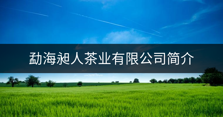 勐海昶人茶業(yè)有限公司簡(jiǎn)介