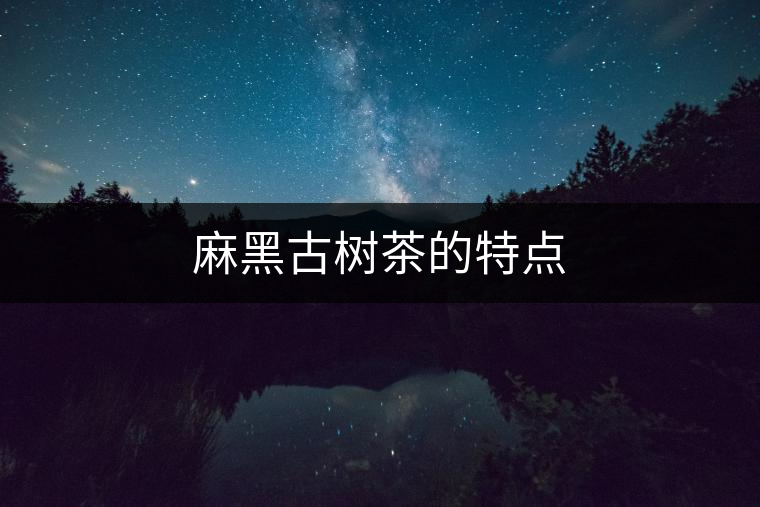 麻黑古樹茶的特點