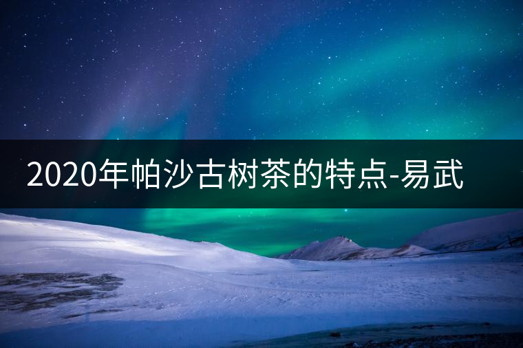 2020年帕沙古樹(shù)茶的特點(diǎn)-易武中聘號(hào) 2020年帕沙古樹(shù)茶的特點(diǎn)-易武中聘號(hào)