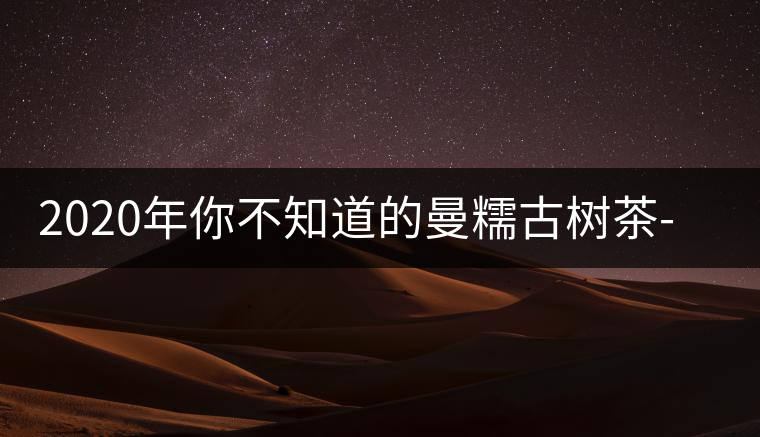 2020年你不知道的曼糯古樹(shù)茶-易武中聘號(hào) 2020年你不知道的曼糯古樹(shù)茶-易武中聘號(hào)