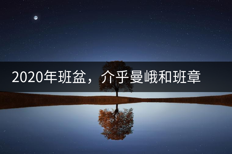 2020年班盆，介乎曼峨和班章間的“老漢子”-易武中聘號