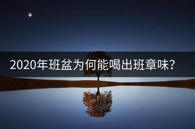 2020年班盆為何能喝出班章味？-易武中聘號(hào)
