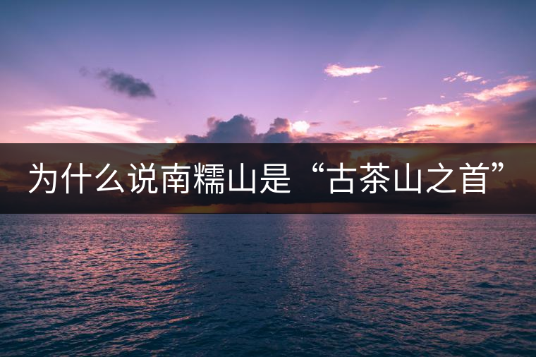 為什么說南糯山是“古茶山之首”？