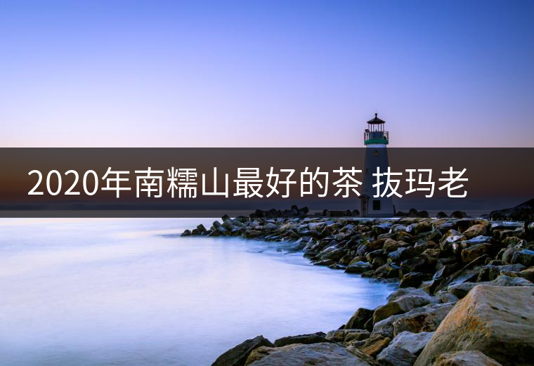 2020年南糯山最好的茶 抜瑪老寨-易武中聘號