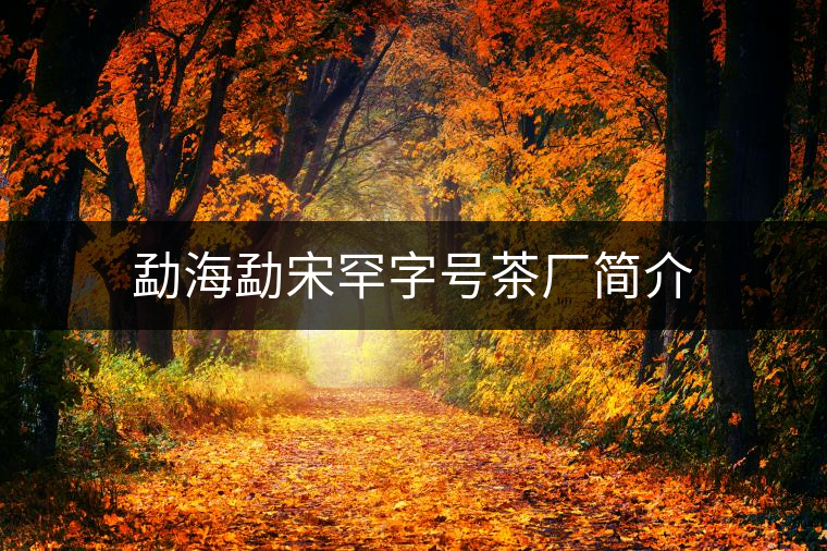 勐海勐宋罕字號(hào)茶廠簡介 勐海勐宋罕字號(hào)茶廠簡介