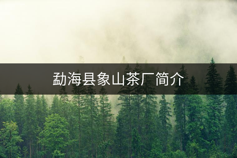 勐海縣象山茶廠簡介 勐??h象山茶廠簡介