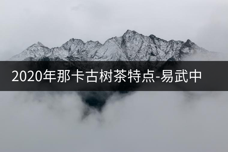 2020年那卡古樹茶特點-易武中聘號 2020年那卡古樹茶特點-易武中聘號