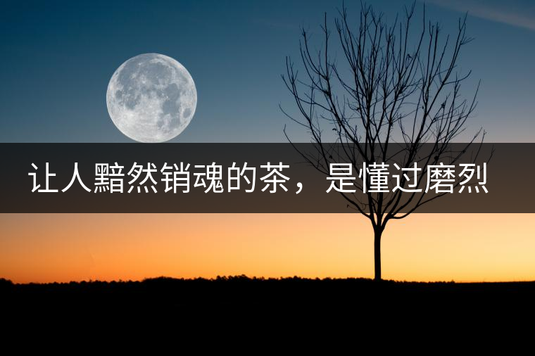 讓人黯然銷魂的茶，是懂過磨烈古樹普洱茶