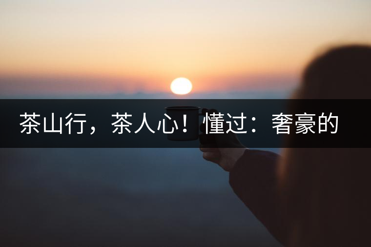茶山行，茶人心！懂過：奢豪的性價比之王