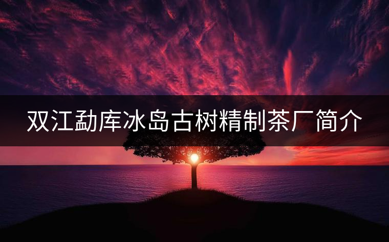雙江勐庫(kù)冰島古樹(shù)精制茶廠簡(jiǎn)介 雙江勐庫(kù)冰島古樹(shù)精制茶廠簡(jiǎn)介