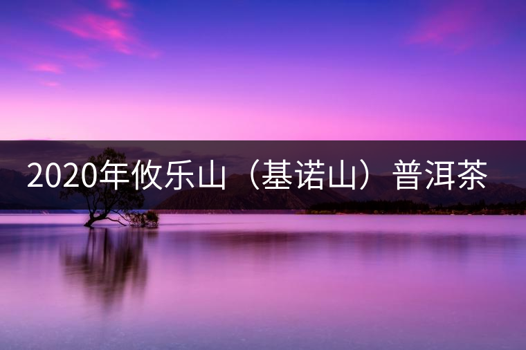 2020年攸樂(lè)山（基諾山）普洱茶的特點(diǎn) -易武中聘號(hào)
