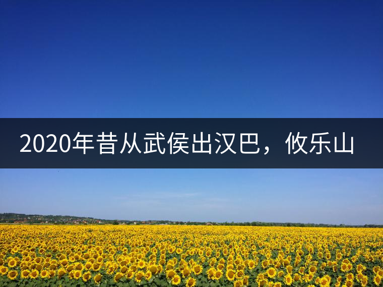 2020年昔從武侯出漢巴，攸樂山中只種茶。-易武中聘號