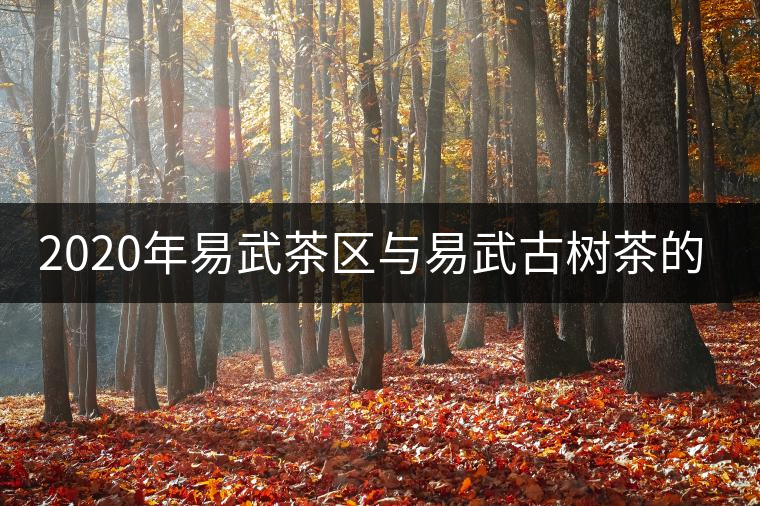 2020年易武茶區(qū)與易武古樹(shù)茶的那些事-易武中聘號(hào) 2020年易武茶區(qū)與易武古樹(shù)茶的那些事-易武中聘號(hào)