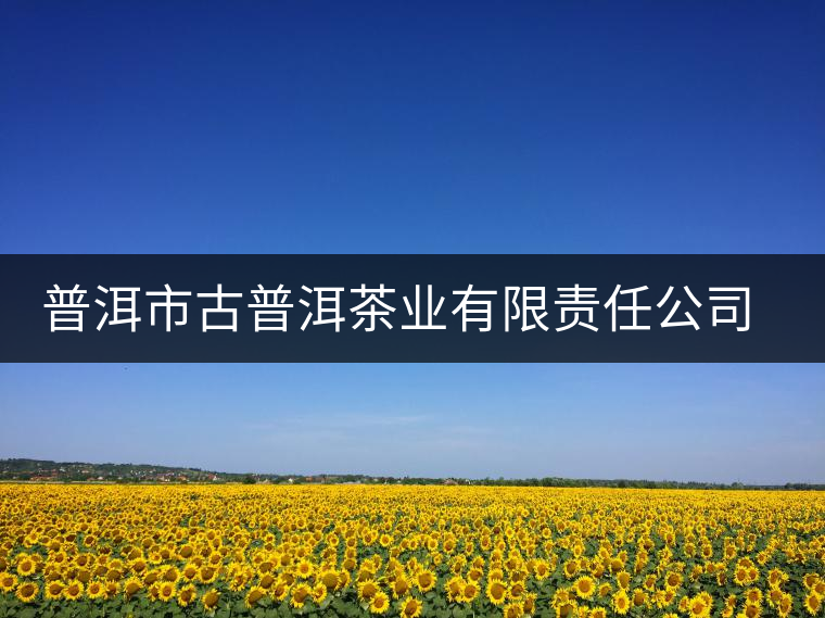 普洱市古普洱茶業(yè)有限責(zé)任公司簡(jiǎn)介