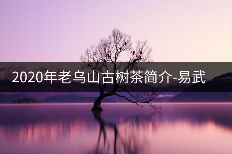 2020年老烏山古樹茶簡介-易武中聘號