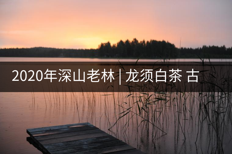 2020年深山老林 | 龍須白茶 古法傳承 -易武中聘號(hào) 2020年深山老林 | 龍須白茶 古法傳承 -易武中聘號(hào)