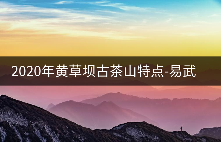 2020年黃草壩古茶山特點(diǎn)-易武中聘號(hào) 2020年黃草壩古茶山特點(diǎn)-易武中聘號(hào)