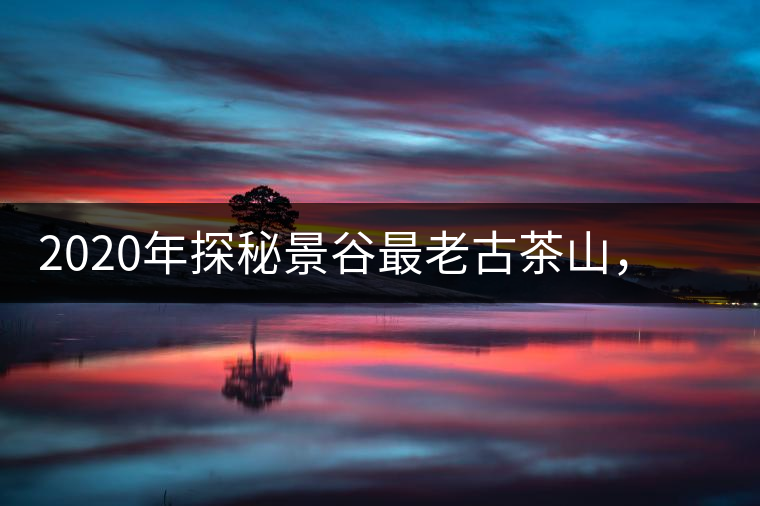 2020年探秘景谷最老古茶山，一個(gè)家族的興茶往事-易武中聘號