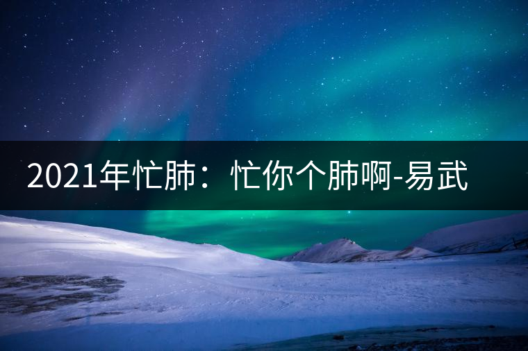 2021年忙肺：忙你個(gè)肺啊-易武中聘號(hào)