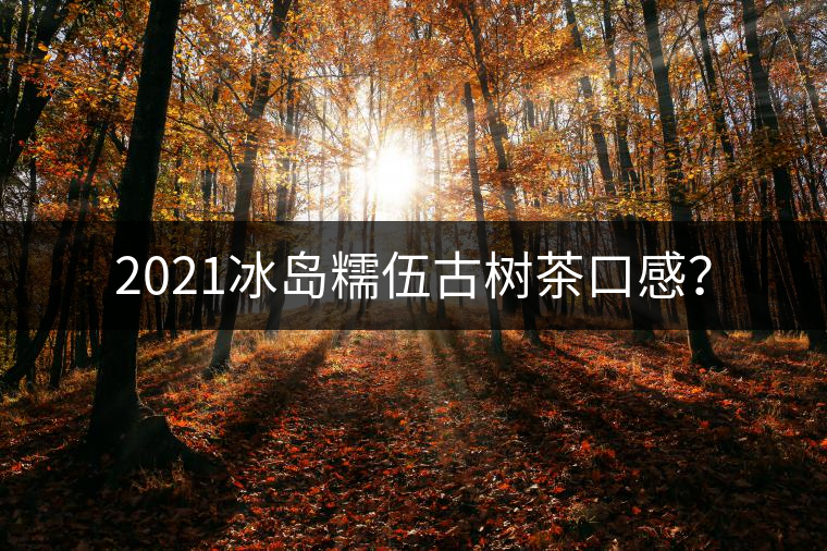 2021冰島糯伍古樹茶口感? 2021冰島糯伍古樹茶口感?