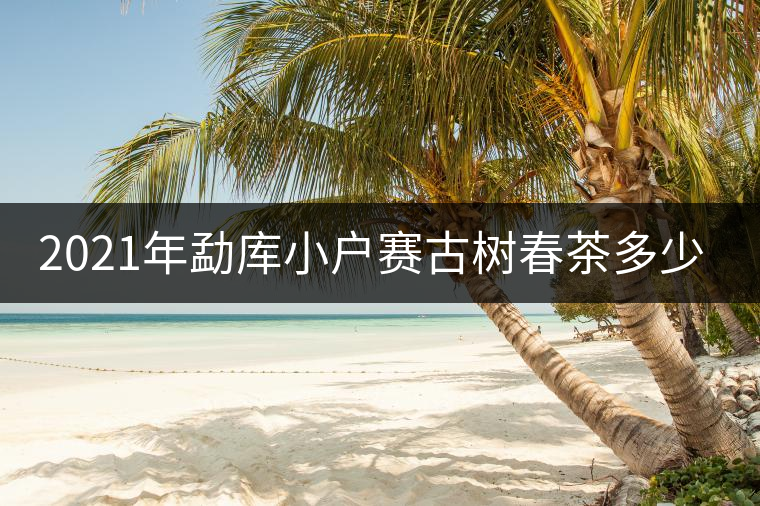 2021年勐庫小戶賽古樹春茶多少錢一公斤？