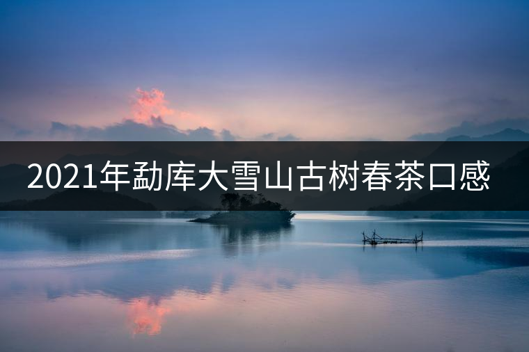 2021年勐庫(kù)大雪山古樹(shù)春茶口感特點(diǎn)？