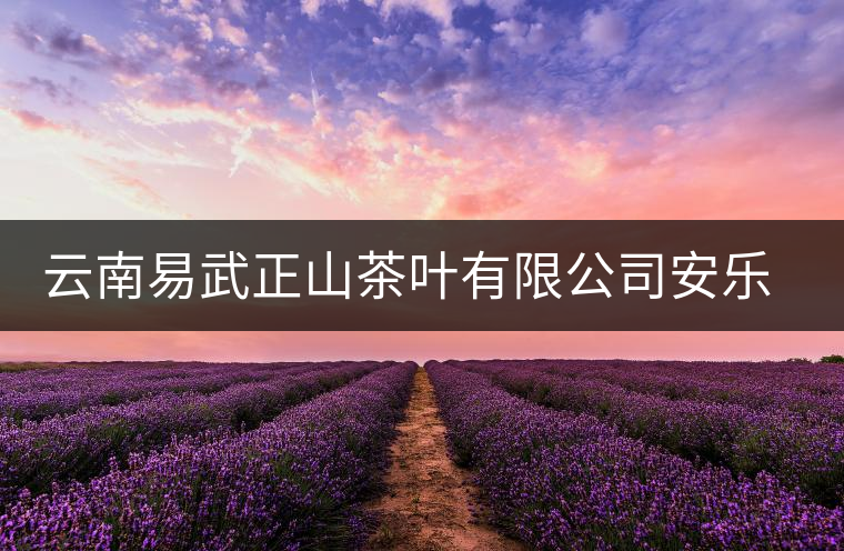 云南易武正山茶葉有限公司安樂茶莊同慶茶廠簡(jiǎn)介 云南易武正山茶葉有限公司安樂茶莊同慶茶廠簡(jiǎn)介