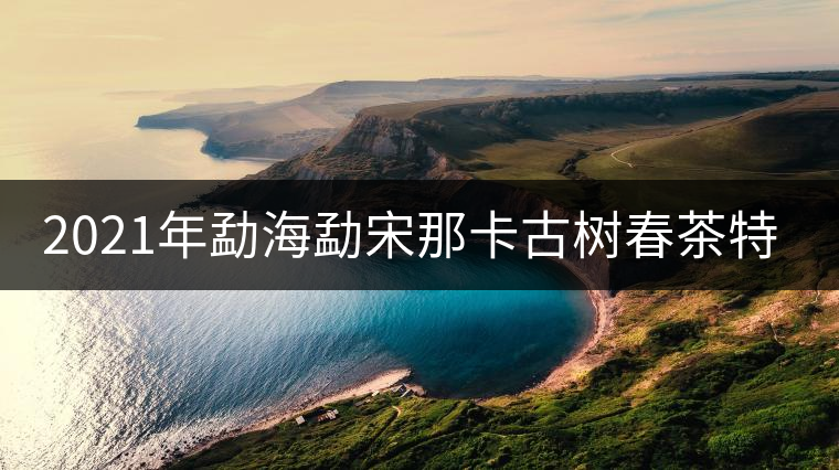 2021年勐海勐宋那卡古樹春茶特點？