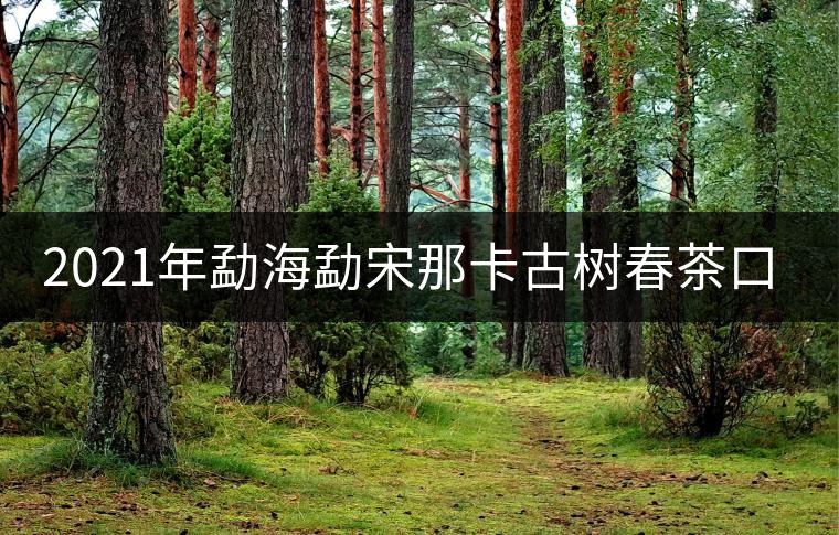 2021年勐海勐宋那卡古樹春茶口感特點？