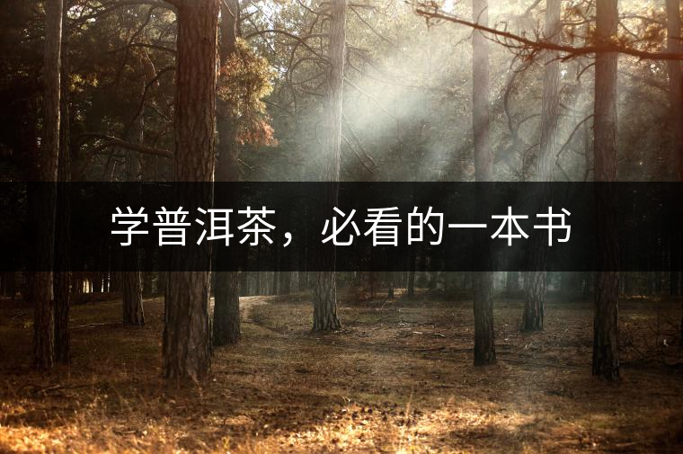 學普洱茶，必看的一本書