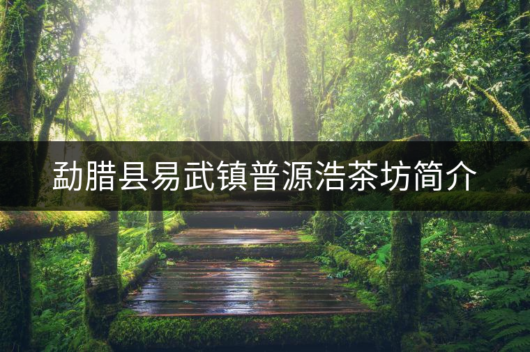勐臘縣易武鎮(zhèn)普源浩茶坊簡(jiǎn)介