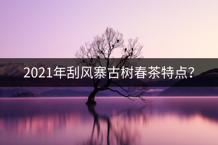 2021年刮風(fēng)寨古樹春茶特點(diǎn)？