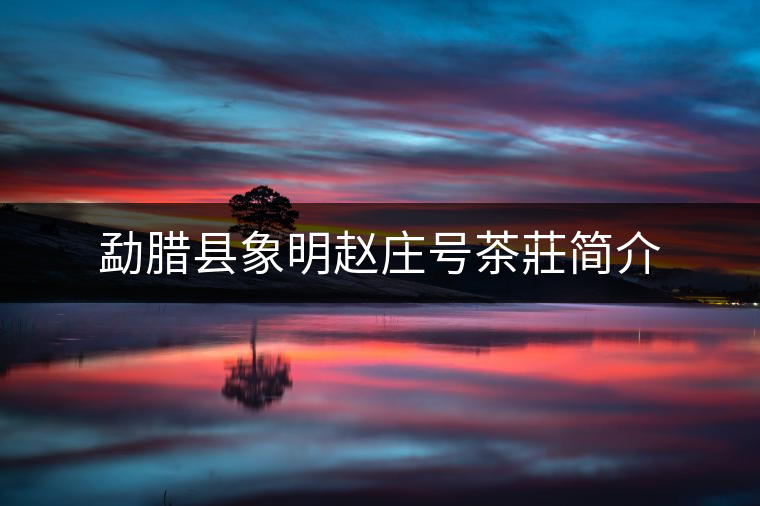 勐臘縣象明趙莊號茶莊簡介 勐臘縣象明趙莊號茶莊簡介