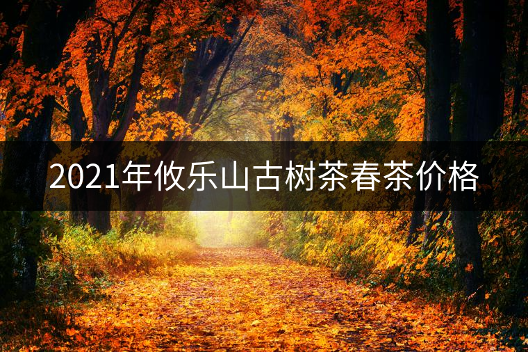 2021年攸樂山古樹茶春茶價格