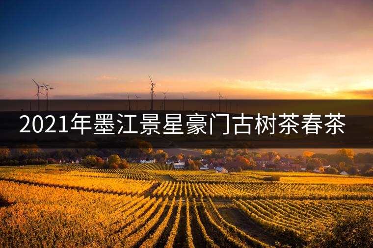 2021年墨江景星豪門古樹茶春茶價(jià)格多少錢一斤？